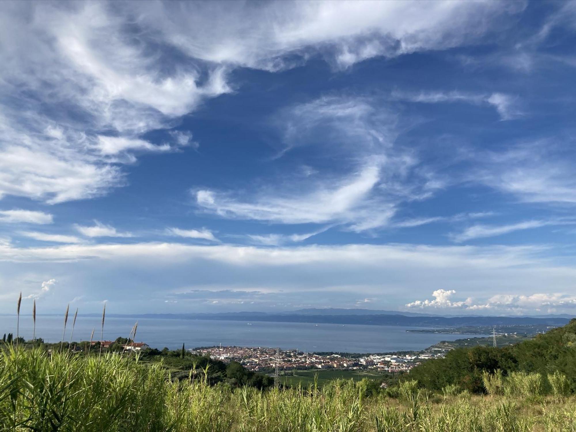 Apartments Colors Of Koper Where The Sea Is Near By 部屋 写真